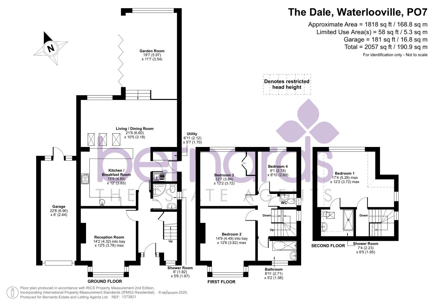 -692464ead62a2-1373821 v1.jpg